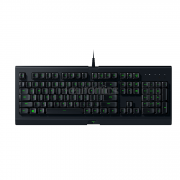 Клавиатура проводная Razer Cynosa Lite (RZ03-02741500-R3R1)