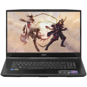 Ноутбук 17.3" MSI Katana 17 B13VFK-1091+ (9S7-17L541-1091)